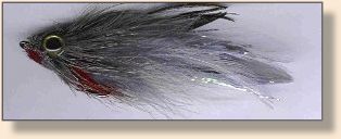 Gray Mullet fly for early morning snook
