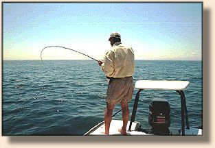 Fish On!