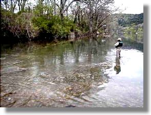 Fishing in the rain