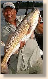 Henry's Redfish
