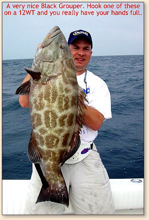 Big Black Grouper
