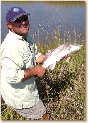 Mudfish