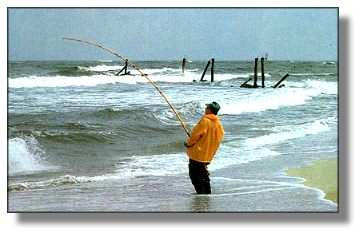 Fishing the surf