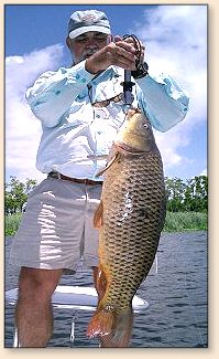 Scud and carp