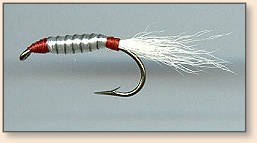 Shad Dart