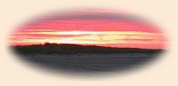 Dawn