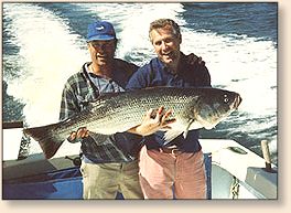 Capt. Tom Mleczko
