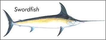 Swordfish