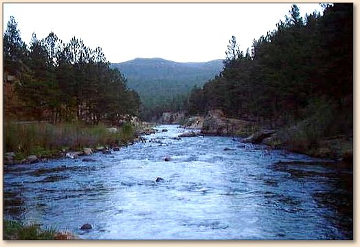 Tributary 10