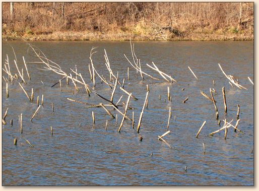 Low water conditions