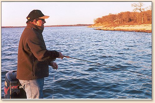 Steve striping fly