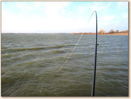 Fighting fish and wind