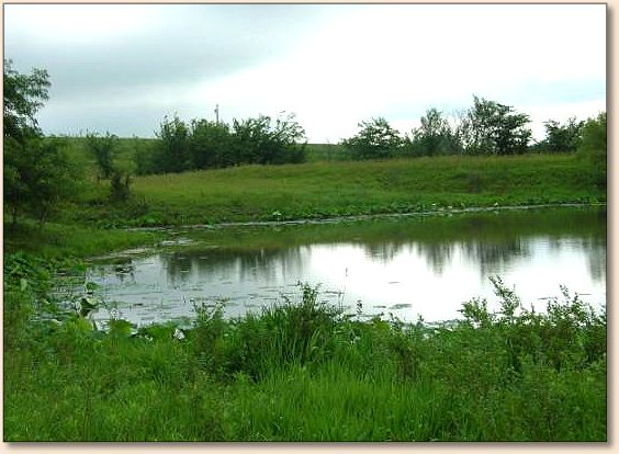 Pond