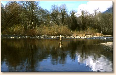 Preston Singletary fishing for cutts