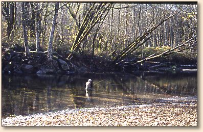 Fortson Hole on the Stillaguamish