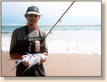 Jaco and Wave Trevally