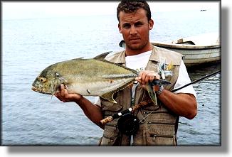Kingfish