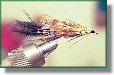 South African Streamer