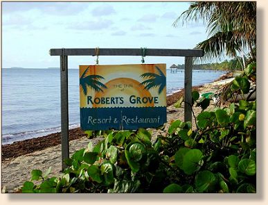 Robert's Grove on the beach