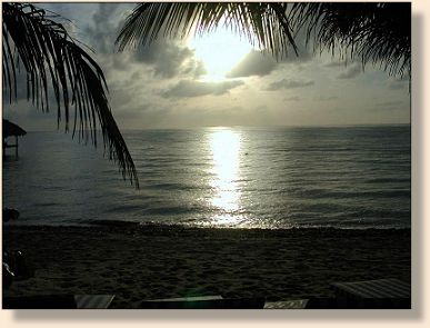 Sunset at Robert's Grove