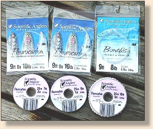 Leaders and Tippets from SA