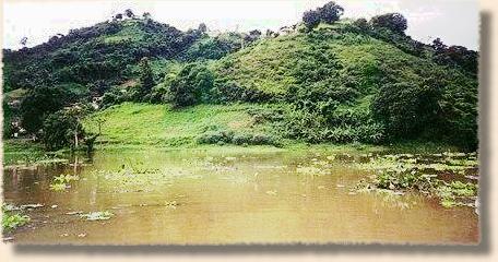 The peach colored water of the La Plate
Impoundment during La Ni�a season.