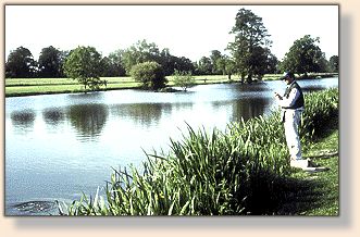 Local Belfast Lake Today (not THE lake)