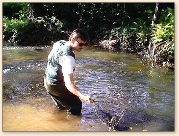 Grayling fishing in the Czech Republic