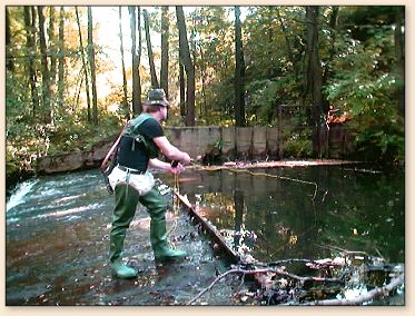 Trout fishing in the Czech Republic