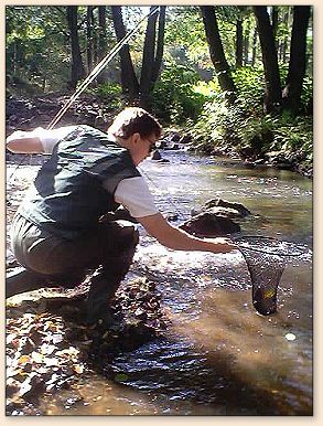 Grayling fishing in the Czech Republic