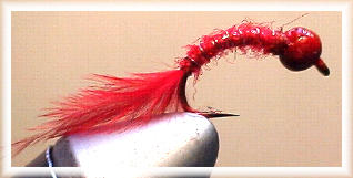 Lapsley Bloodworm