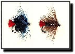 Blue Zulu (left) and Gold Zulu (right)