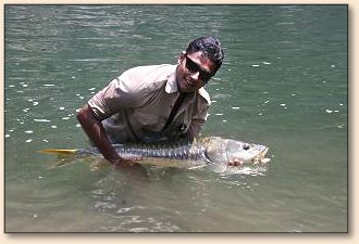 Author Misty Dhillon