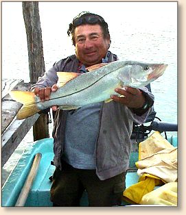 Guide Phillipi and snook