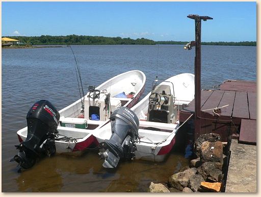 a pair of Casa Rosa's fleet of fine fishing pangas