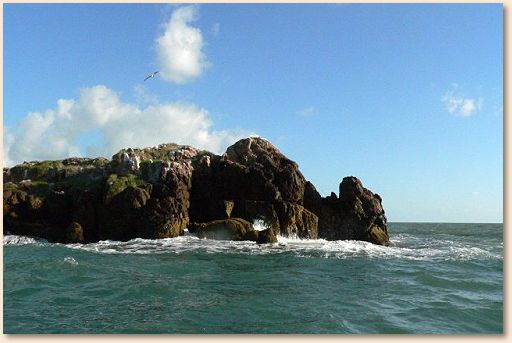 Early morning bluewater fishing