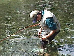 Success on the Upper Yellowstone