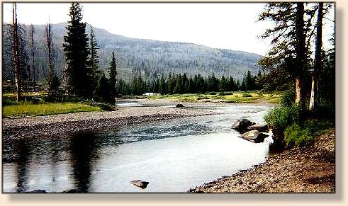 Slough Creek at the Edge of Frenchy's Meadow