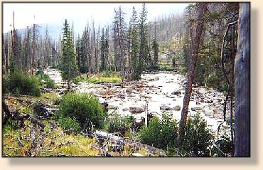 Freestone Section of Slough Creek