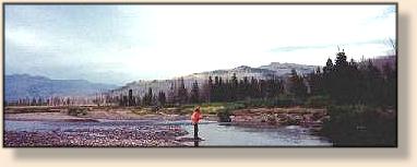 Rick in Frenchy's Meadow