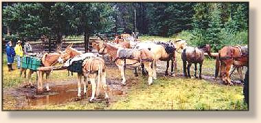 Packing Up to Leave Camp