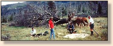 Mike, Rick, Will and Tim Third Meadow of Slough Creek