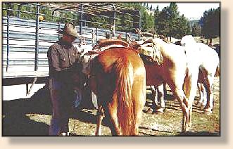 Tim Bowers Saddles the Horses