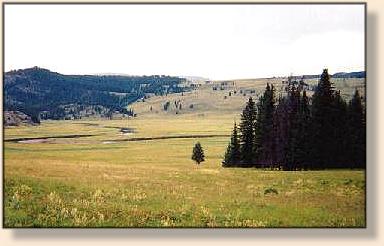 Second Meadow of Slough Creek