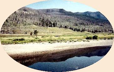 Third Meadow of Slough Creek Oxbow
