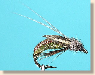 Al's Lace Caddis Pupa
