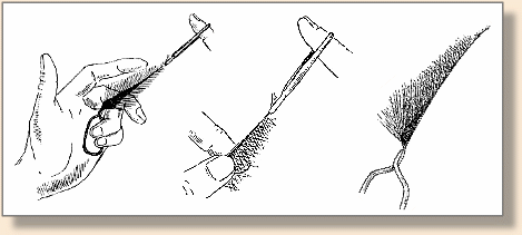 Folding Hackle per TE Pryce-Tannatt