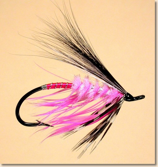 Kathryn's Fly