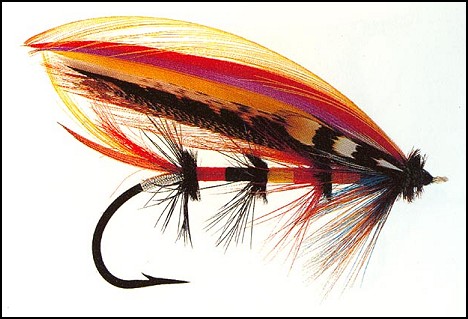 Compulsory Fly