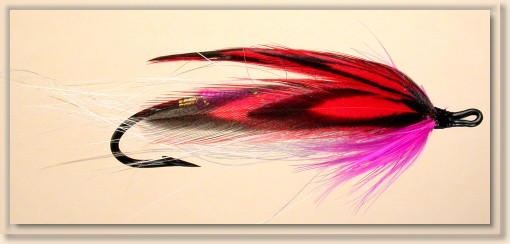 Sweetheart Dee Fly
